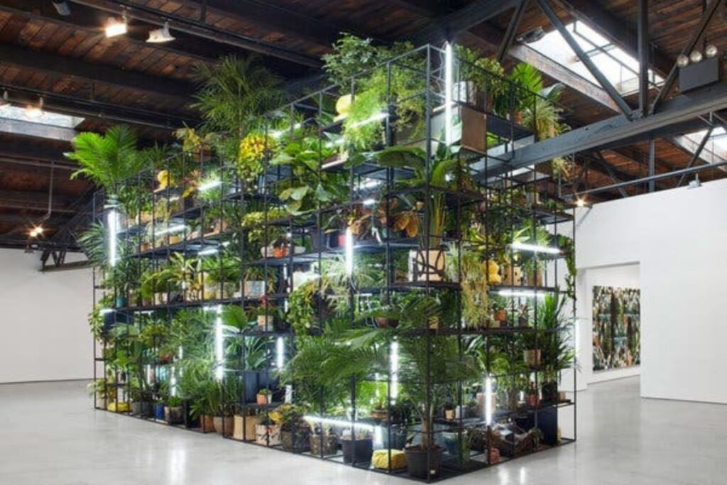 Plant Installation